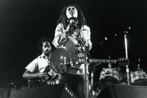 Marley 3.jpg